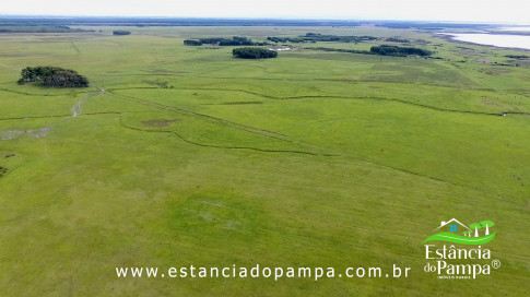 INICIO GADO TOP.00_02_51_16.Quadro038_85db5795f160d97712f2be43028321168c364d53.jpg